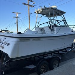 1996 Bayliner Trophy walk around