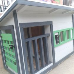 Dog Houses 