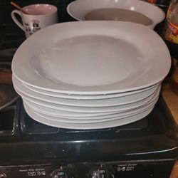8 dinner plates