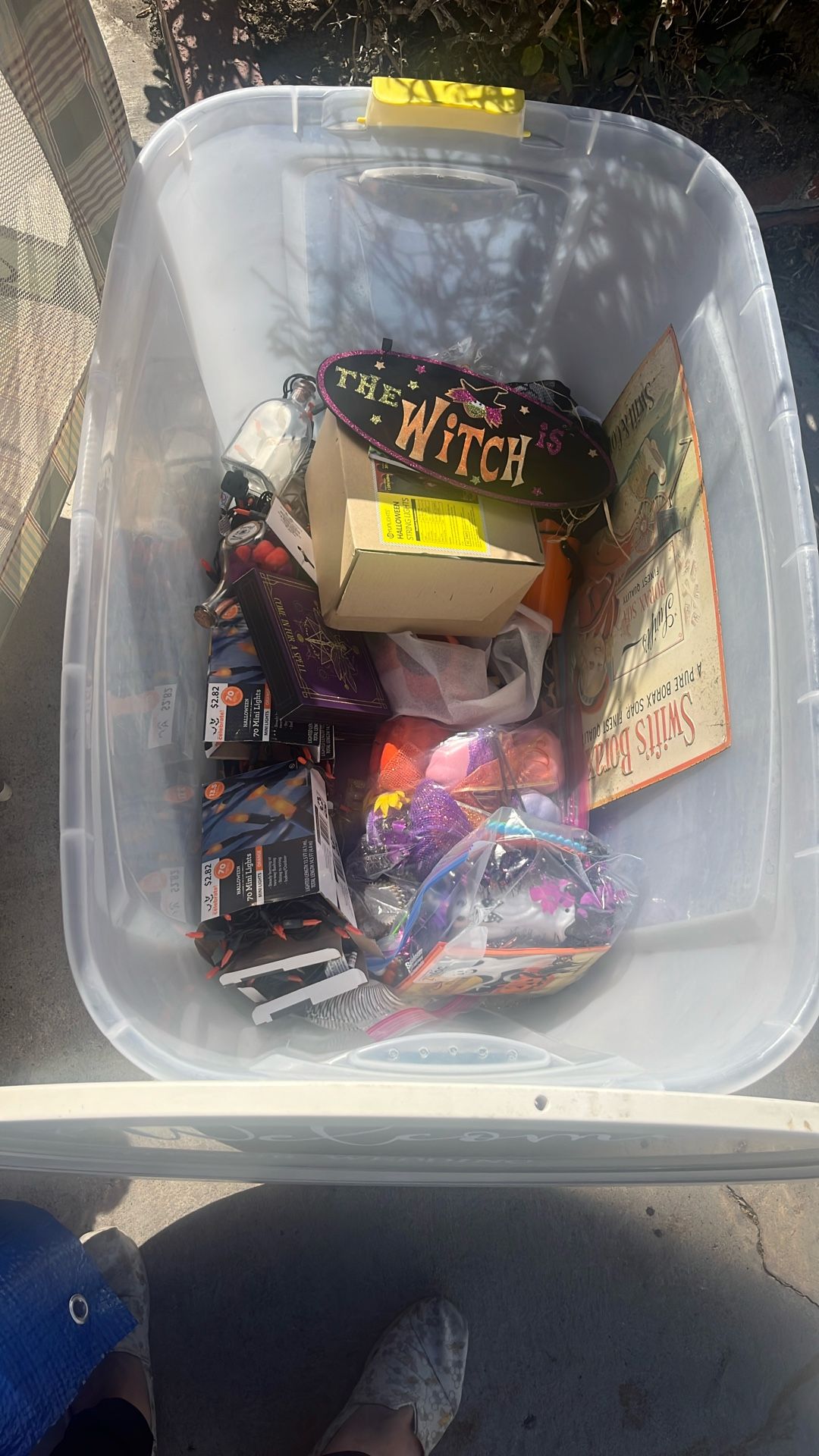 Dollar Halloween Items Anything