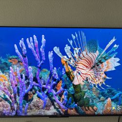 Hisense Tv