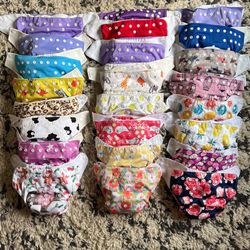 Cloth Diapers w/Inserts + Extras