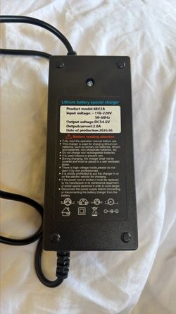 Original Charger for E bike