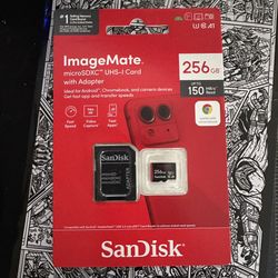 Sandisk 256 Gb