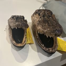 Gator Heads 