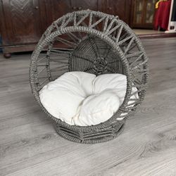 PET Bed