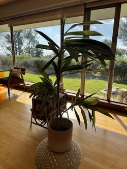 Faux banana plant with terracotta planter