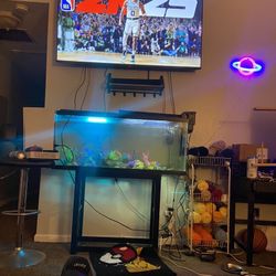 Vizio 65in 4k Tv