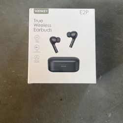 True Wireless Earbuds 