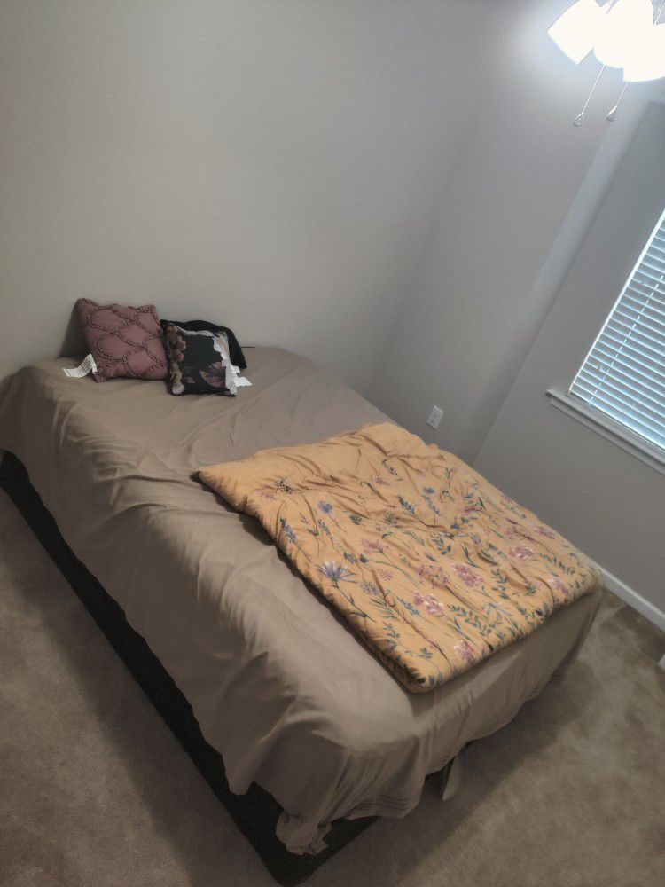 Rarely Used Queen Size Bed with Box spring