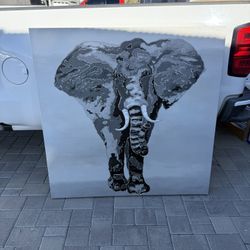 Elephant Canvas