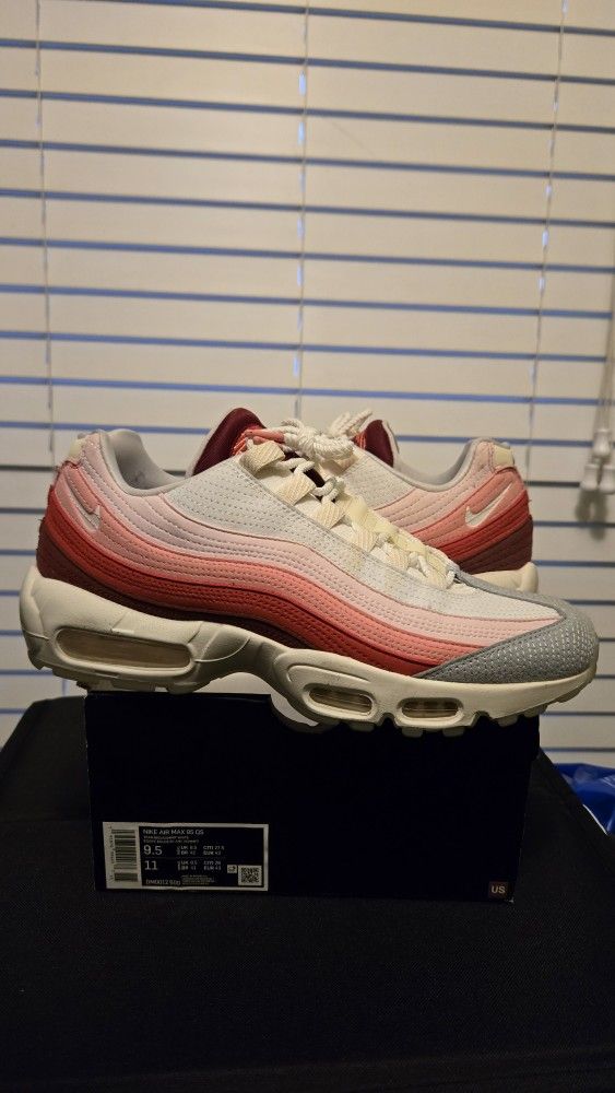 Nike Air Max 95 Anatomy of Air