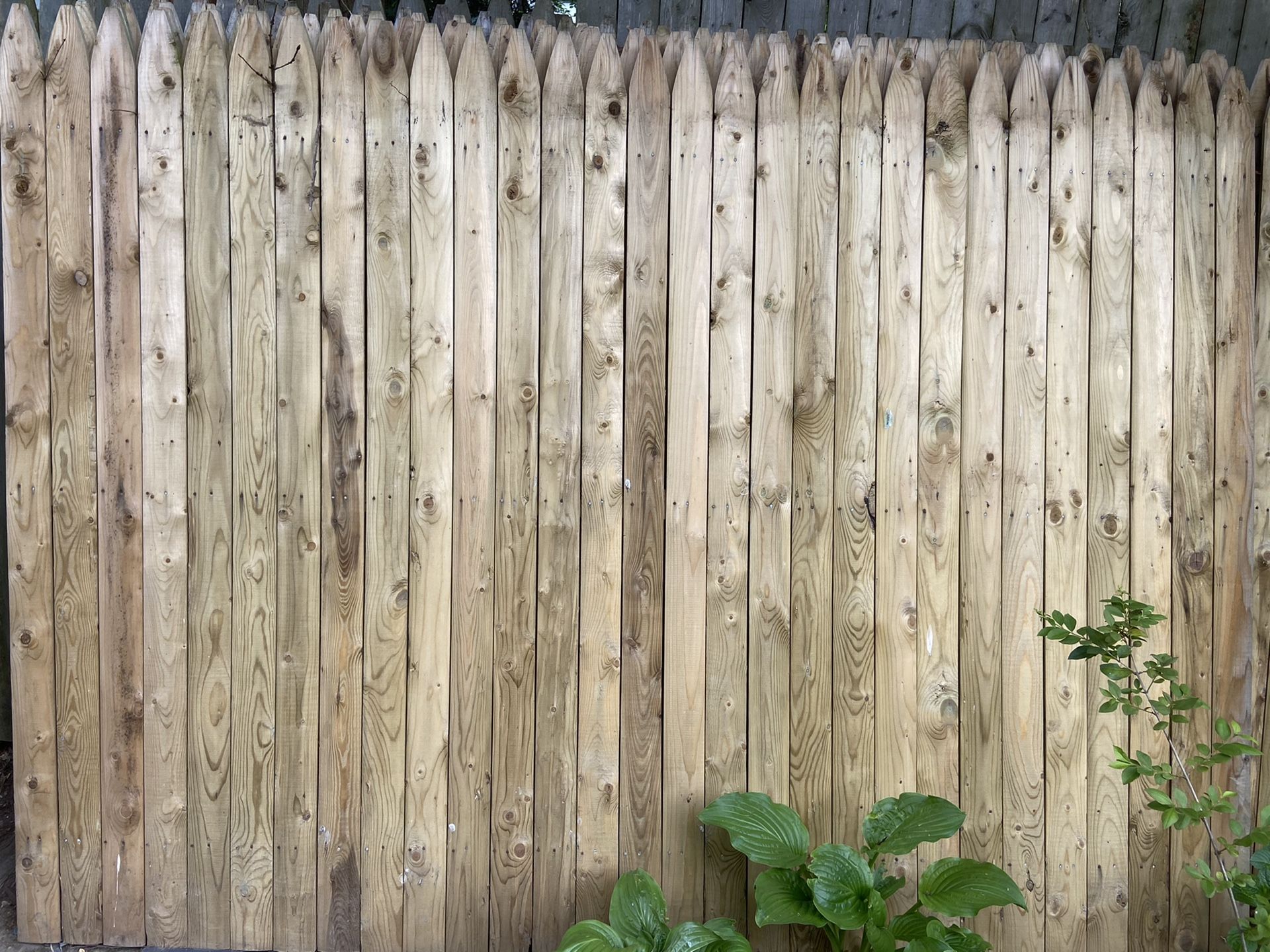 Pressure-treated 6’x8’ picket fencing