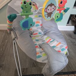 Baby Bouncer