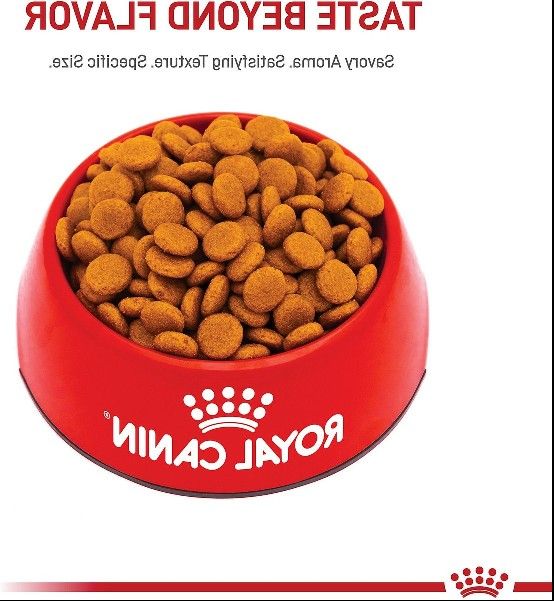 Royal Canin Canine Care Nutrition Medium Digestive Care Dry Dog Food, 30-lb bag