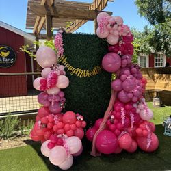 Balloon Garland 