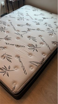 Queen size bamboo bed and couch with chaise lounge