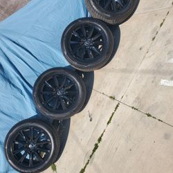 Audi 19" Rims With Pirelli Winter Tires 