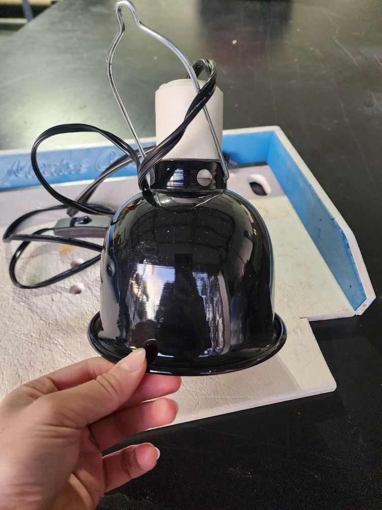 Reptile Light Pet Light