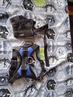 Small Dog Harness, Leash, and Muzzle Set