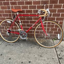 Novara Strada Old 10 Speed