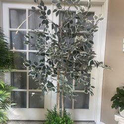 Artificial Almost 6ft  Plant 