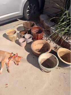 9 pots/planters