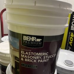 5 gal. Elastomeric Masonry, Stucco and Brick Exterior Paint (White)