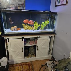Aqueon 75 Gallon.
