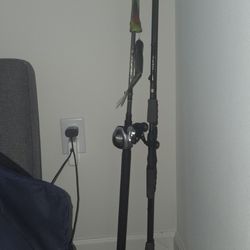 Leviathan Rod And Shimano Tranx 200