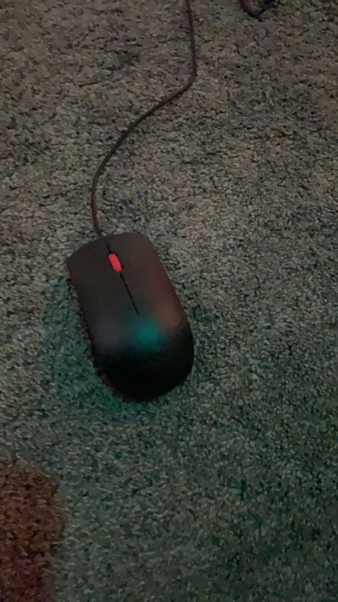 Lenovo Essential USB Mouse