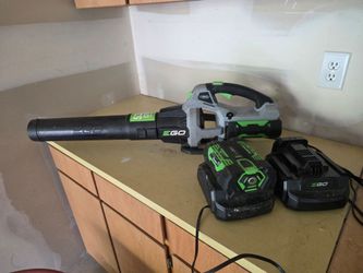 Robin Electric Blower