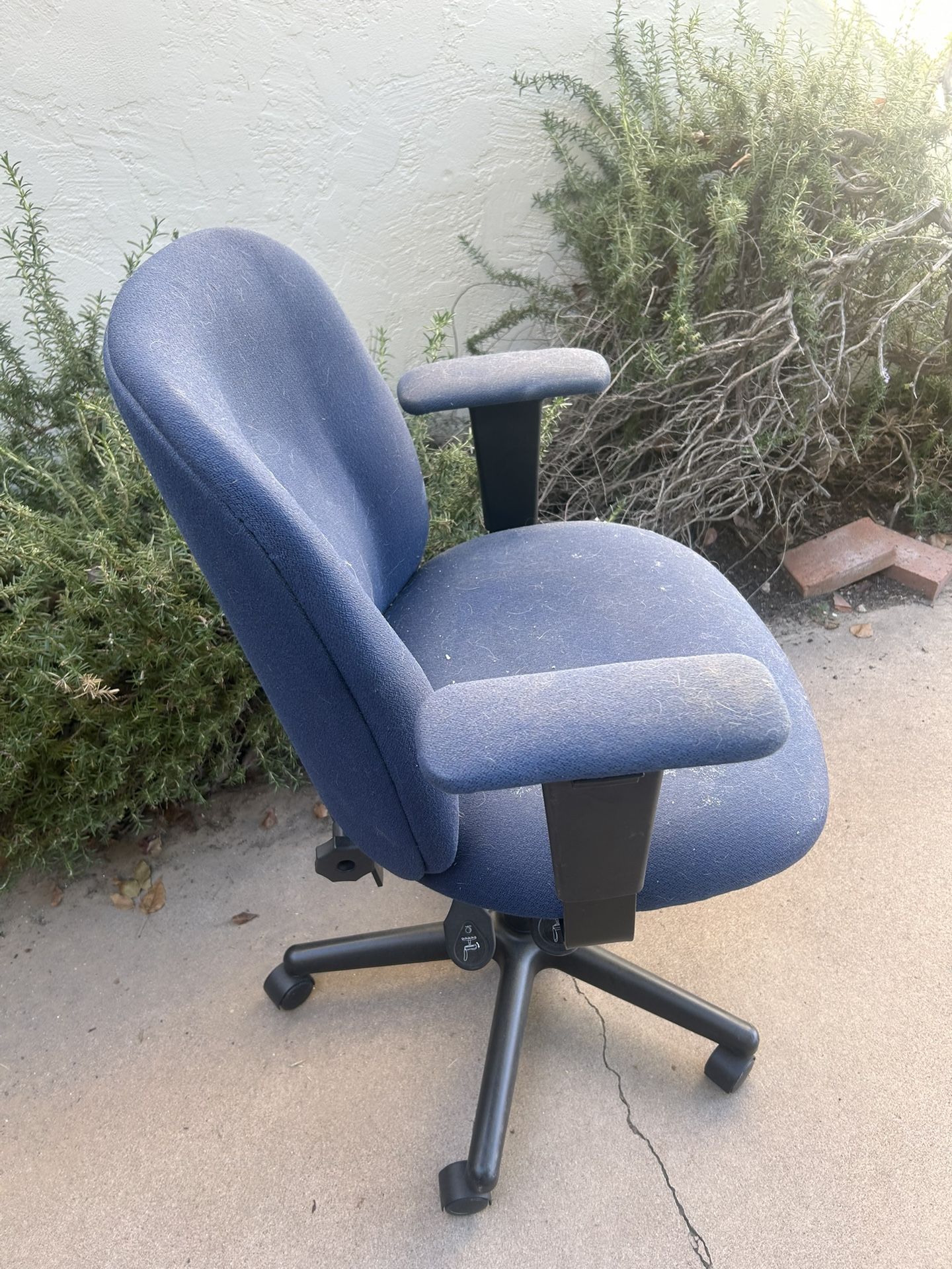 Free Office Chair And File Cabinet 