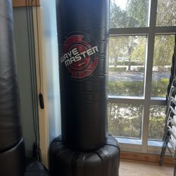 Standing Boxing/Punching Bag 