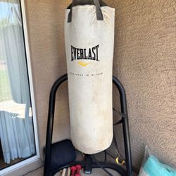 Punching Bag 