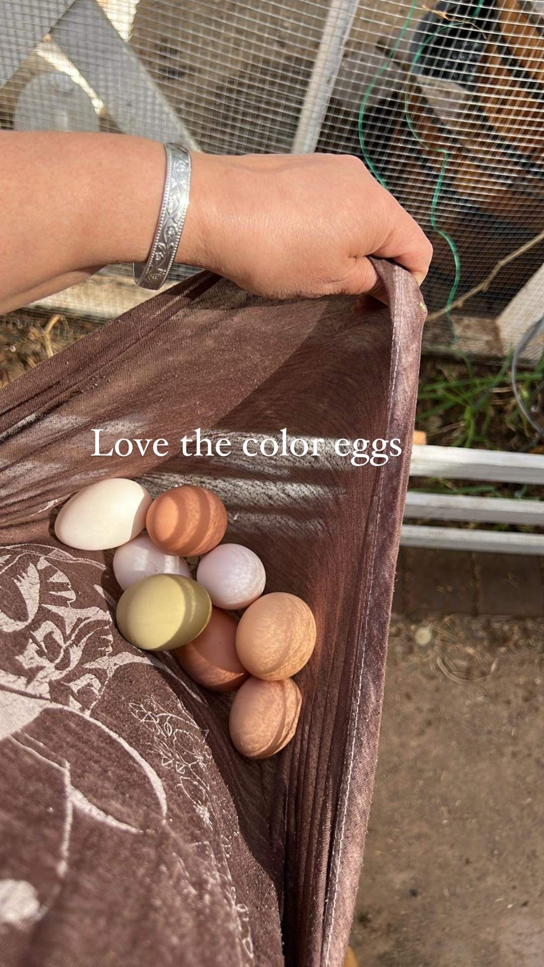 Fresh Eggs