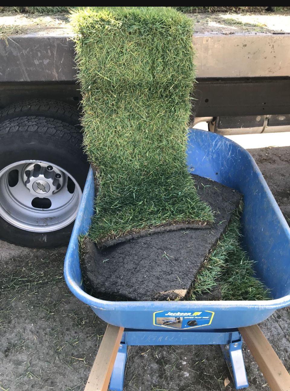 Fresh Sod