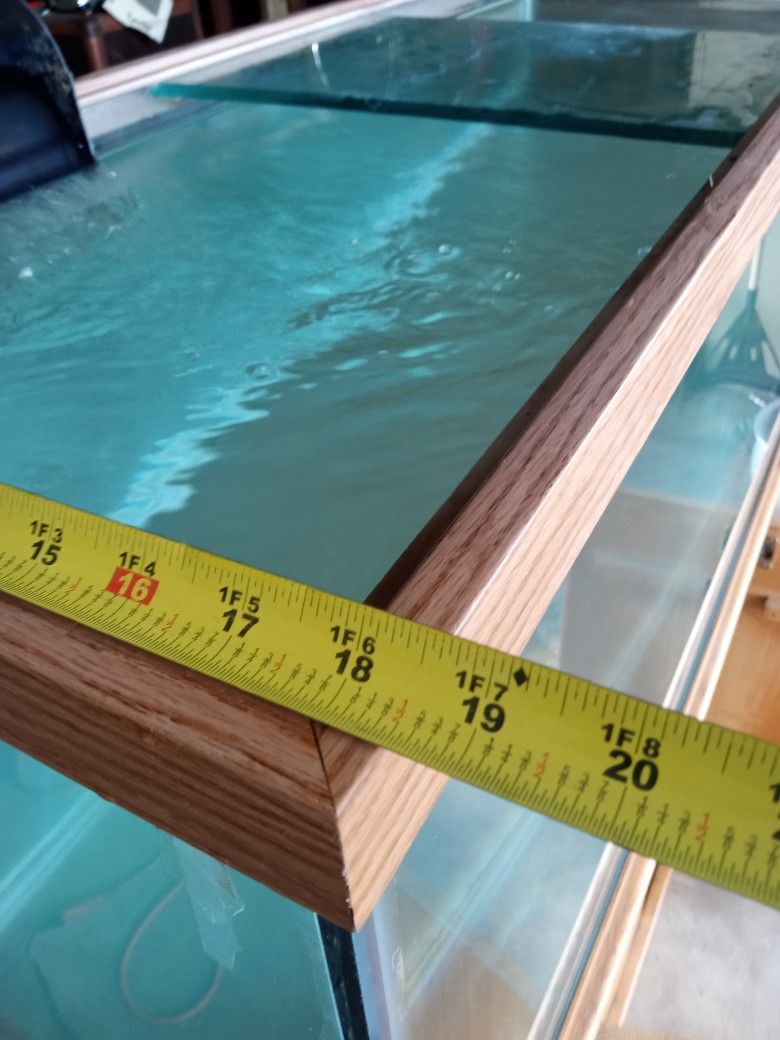 100 Gallon Fish Tank