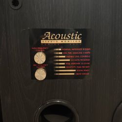 Acoustic Speakers Set
