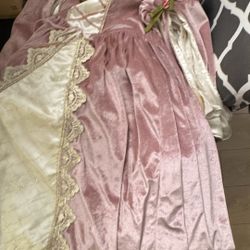 Beautiful Pink Princess