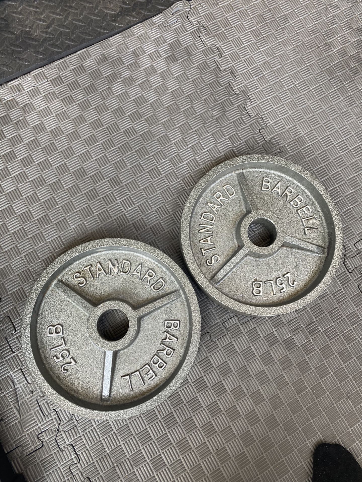 Cast iron Olympic weights. 2 inch hole sold as a pair