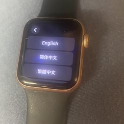 Apple Watch