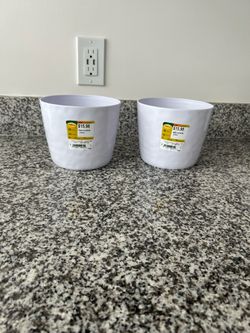 Plants pot