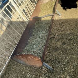 One Goat Buck And One Weather Goat And Fence /feeder/tank 110 Gallon 