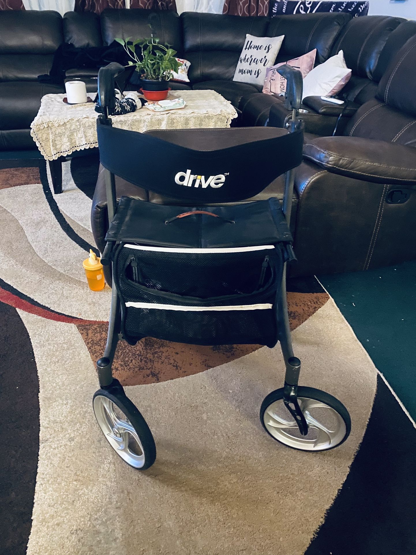 $125-Foldable senior Walking apparatus with Seat and Four big Wheels- (well loved as you can see as it has some discoloration from use on back b