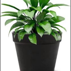 Brandnew Plant Flower Pot, 6 inch Plastic Planter, for Tabletop Plant & Hanging Planter - Pack of 6