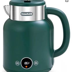 DmofWhi Electric Kettle