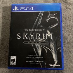 Skyrim 