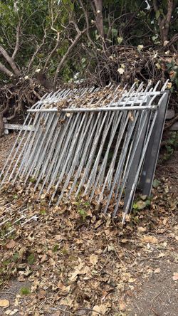 Iron Fencing