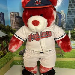 Red And White Indians Build A Bear